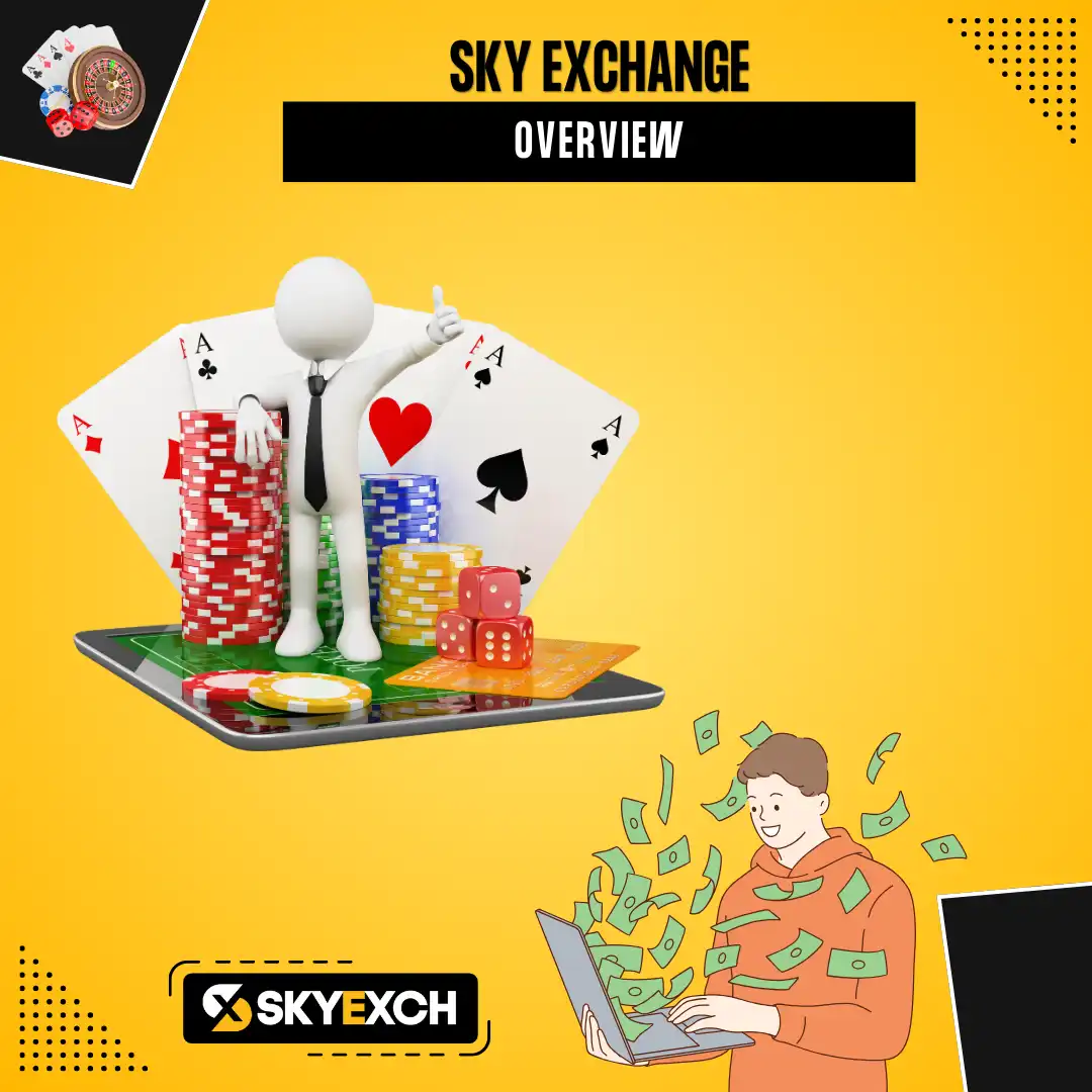 overview of skyexch