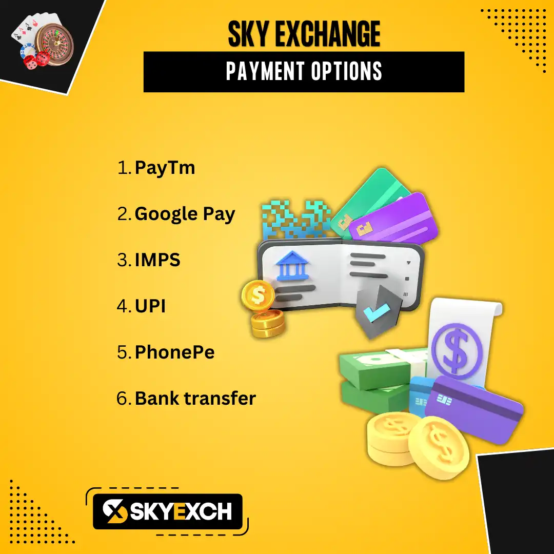 payment options on skyexch